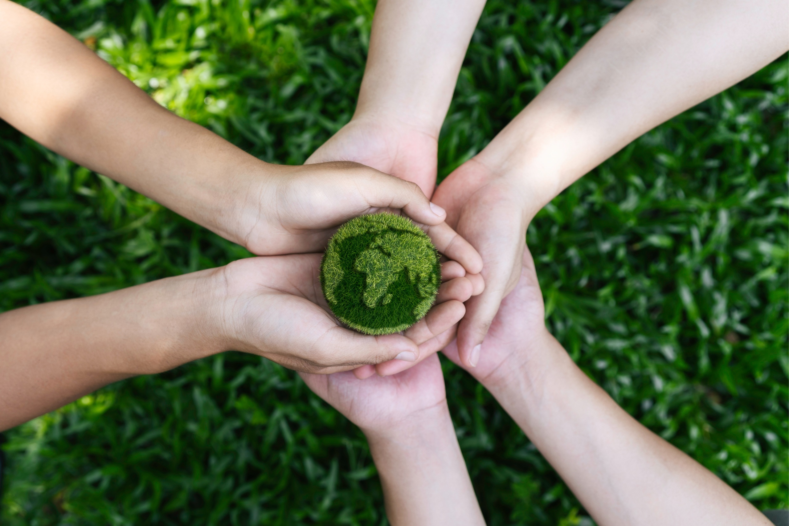 Several hands hold a small grass-covered globe in a circle. Admiring the connection between the environment and mental health.