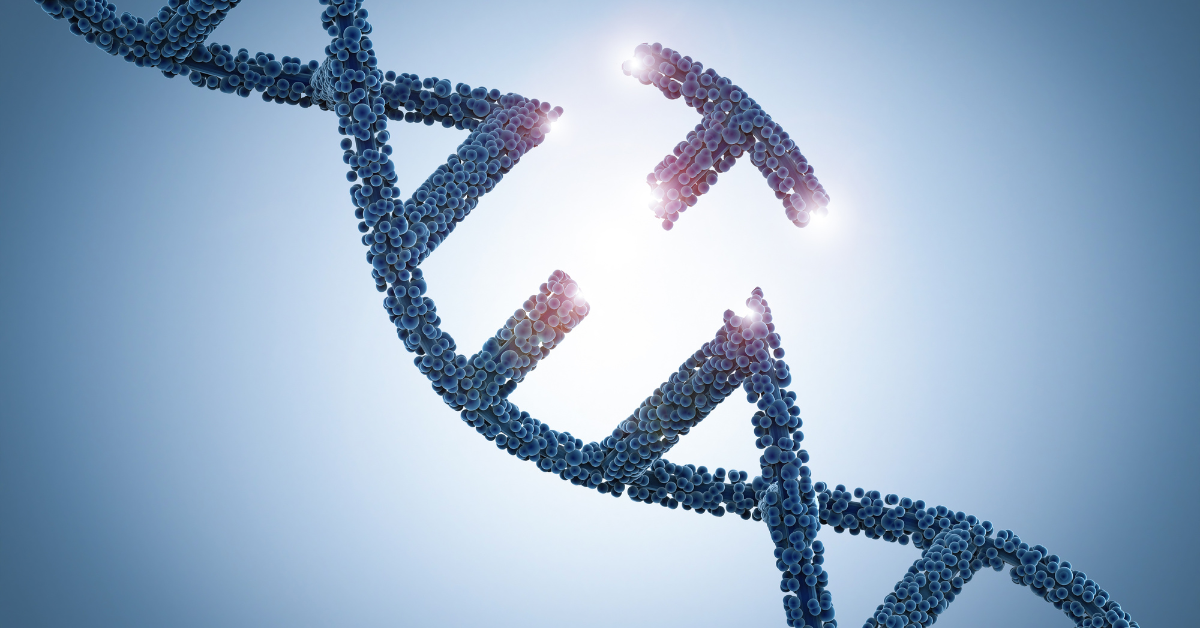 A DNA strand with a missing section, glowing at the break point, symbolizing genetic alterations and the exploration of genetic links to conditions like bipolar disorder.