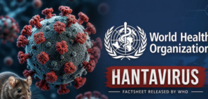 What Is Hantavirus? Understanding How It Spreads and the Lasting Mental Health Impact of the COVID-19 Pandemic
